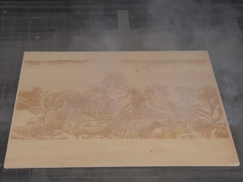 工業 CO2 木版印刷激光打標機 工業 CO2 木版印刷激光打標機