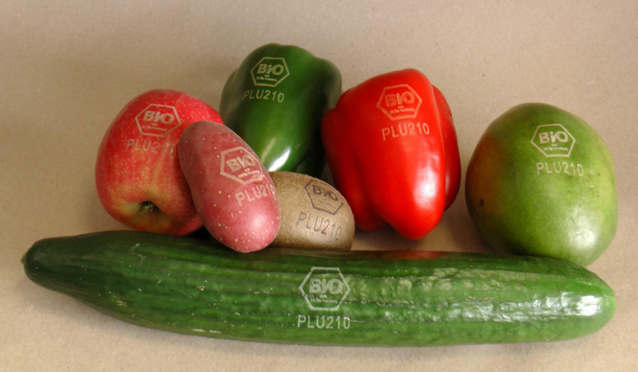 CO2 用于新鮮水果蝕刻項(xiàng)目的激光打標(biāo)機(jī) CO2 用于新鮮水果蝕刻項(xiàng)目的激光打標(biāo)機(jī)